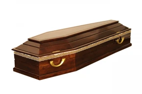 гроб лакированный скрипка